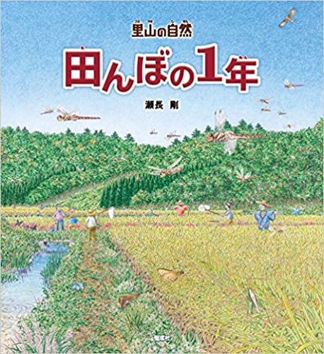 田んぼの1年 田んぼの1年