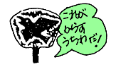 からすうちわ
