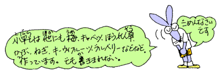 書ききれませんでした