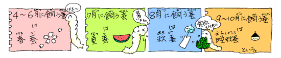 春蚕、夏蚕、秋蚕、晩秋蚕