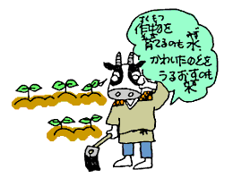 作物を育てるのも水