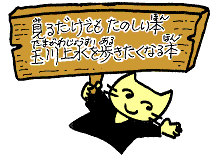 見るだけでもたのしい本