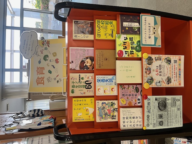 一般展示写真